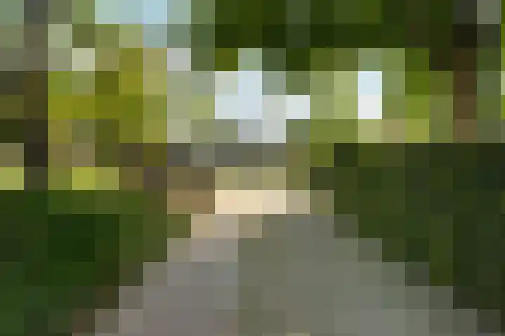 Molenweg 18 Abcoude thumbnail 39