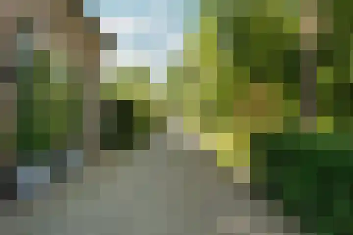 Molenweg 18 Abcoude thumbnail 6