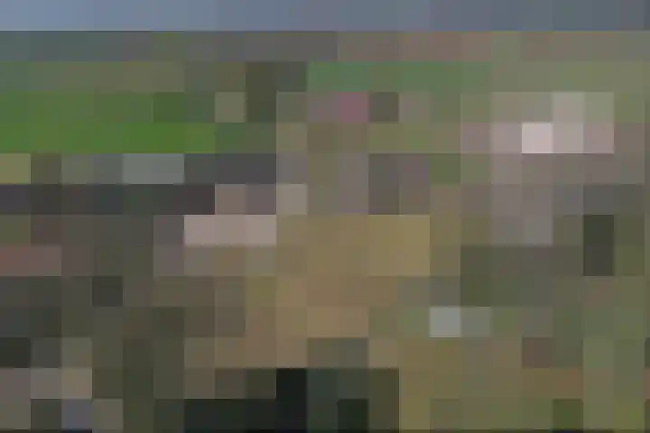 Molenweg 18 B Heelweg thumbnail 9