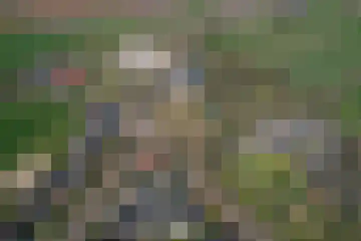 Molenweg 18 C Heelweg thumbnail 7