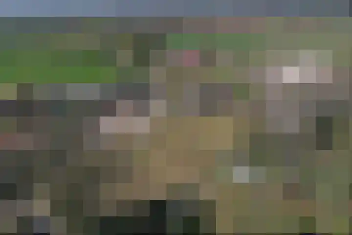 Molenweg 18 D Heelweg thumbnail 5