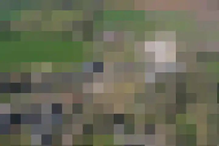 Molenweg 18 D Heelweg thumbnail 6