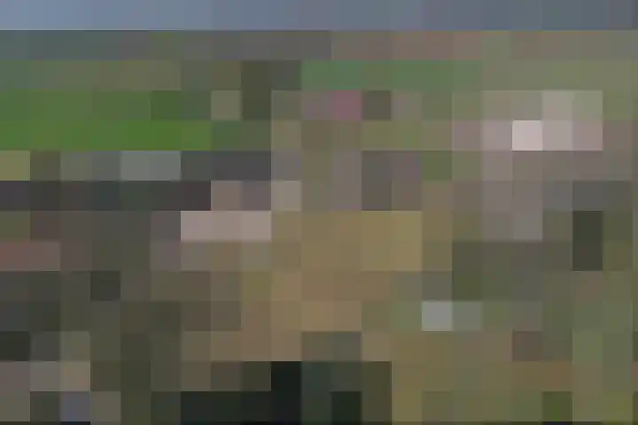 Molenweg 18 D Heelweg thumbnail 9