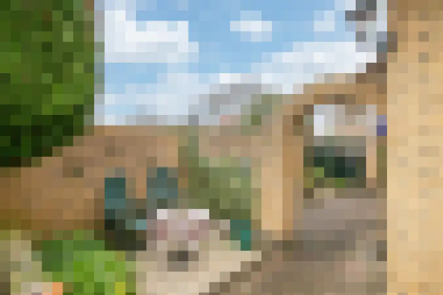 Molenweg 18 Herten thumbnail 32