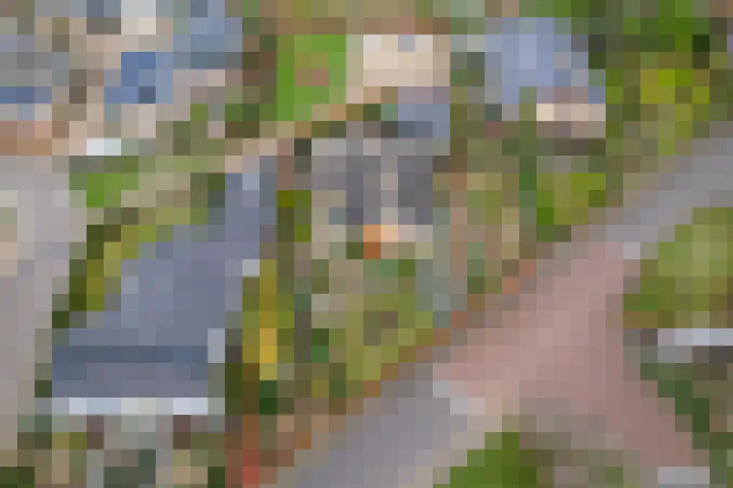 Molenweg 18 Herten thumbnail 41