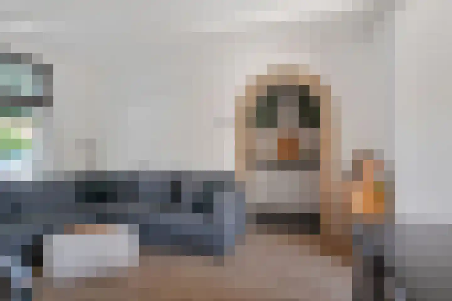 Molenweg 18 Joure thumbnail 12