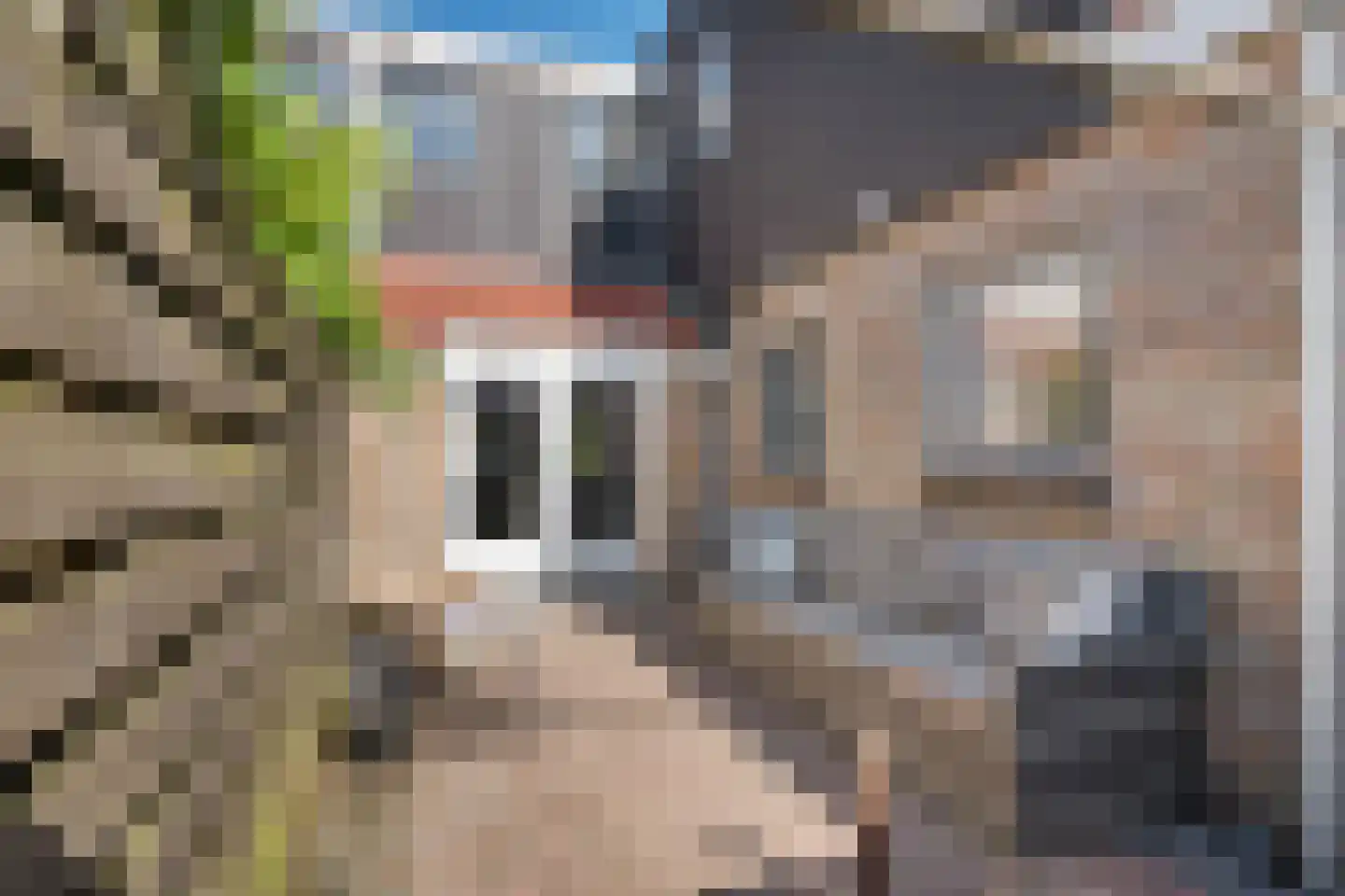 Molenweg 18 Joure thumbnail 16