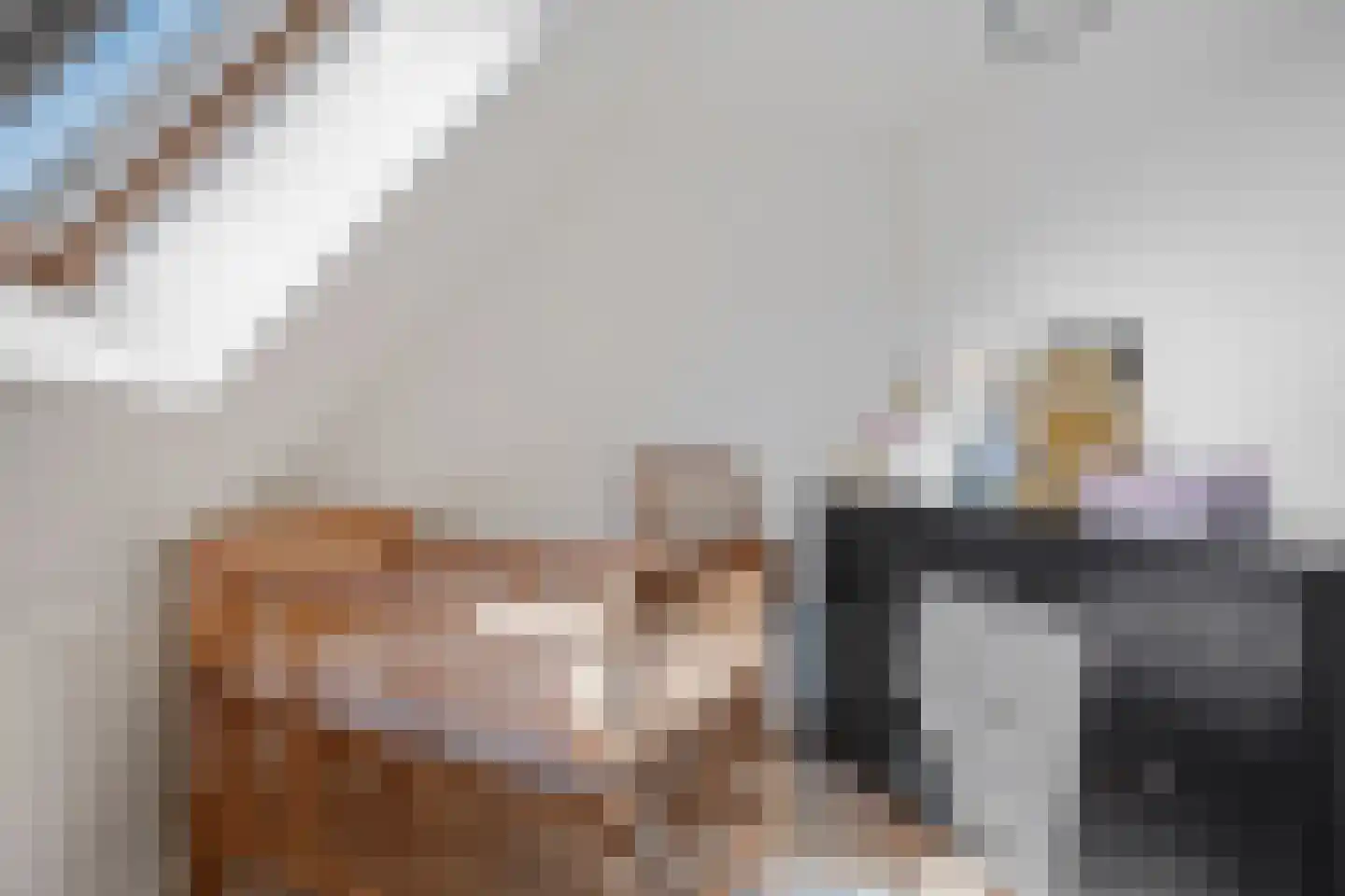 Molenweg 18 Joure thumbnail 29