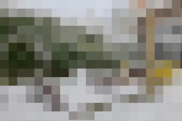 Molenweg 180 Zwolle thumbnail 29