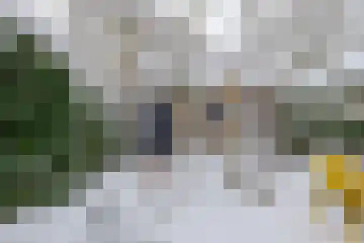 Molenweg 180 Zwolle thumbnail 31