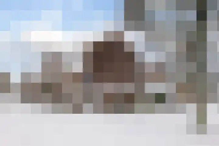 Molenweg 180 Zwolle thumbnail 6