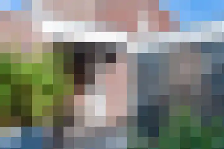 Molenweg 182 Nijmegen thumbnail 48