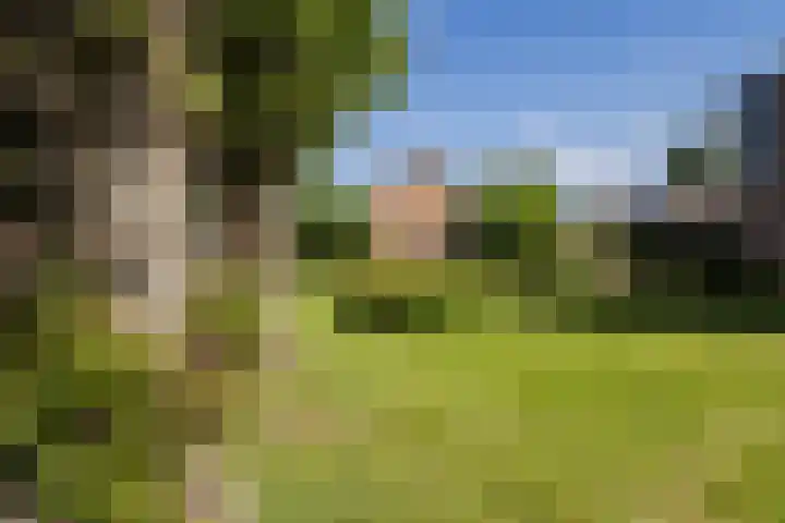 Molenweg 183 Nijmegen thumbnail 30