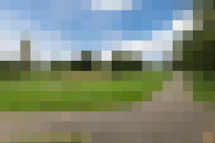 Molenweg 183 Nijmegen thumbnail 31