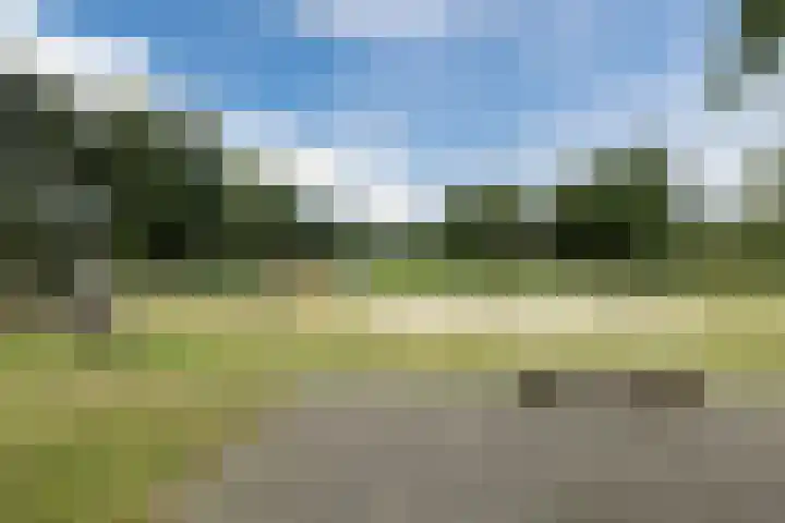 Molenweg 183 Nijmegen thumbnail 32