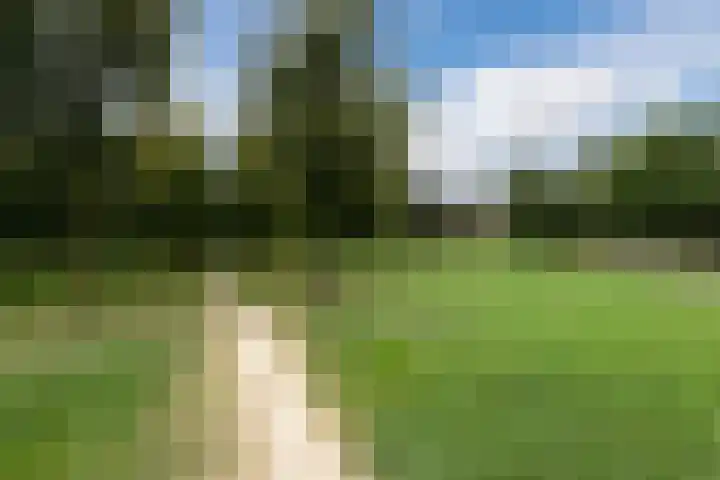 Molenweg 183 Nijmegen thumbnail 33