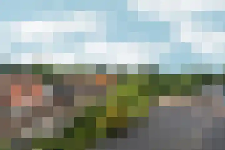 Molenweg 185 Nijmegen thumbnail 15