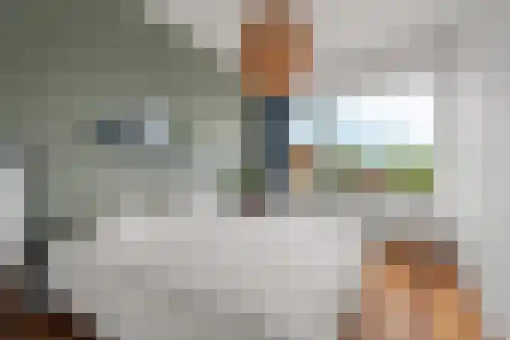 Molenweg 185 Nijmegen thumbnail 17