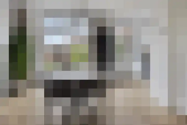 Molenweg 186 Zwolle thumbnail 6
