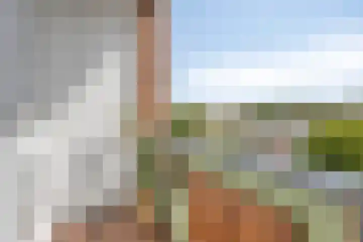 Molenweg 187 Nijmegen thumbnail 14