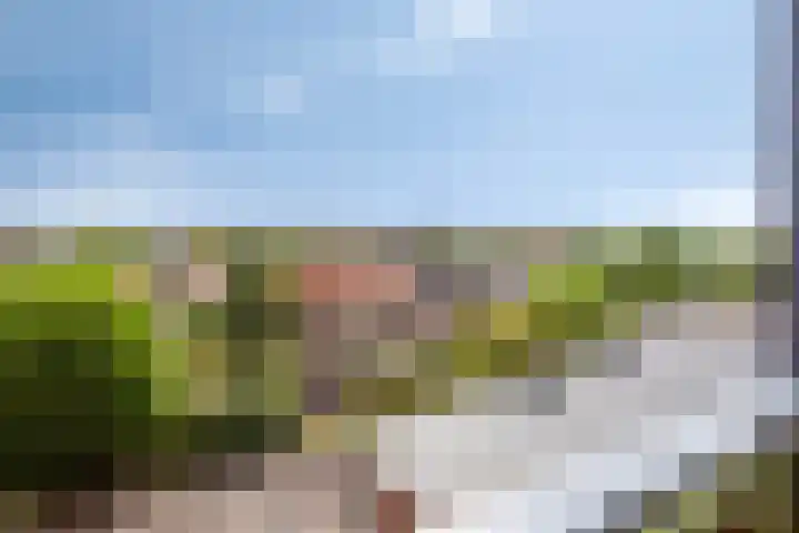 Molenweg 187 Nijmegen thumbnail 16