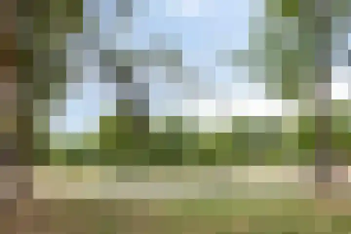 Molenweg 187 Nijmegen thumbnail 30