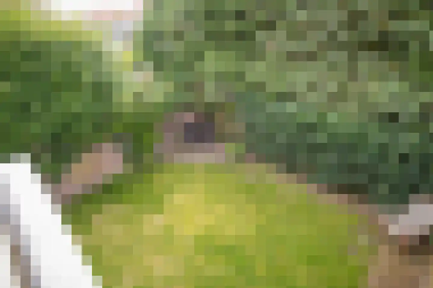 Molenweg 19 Baarn thumbnail 26