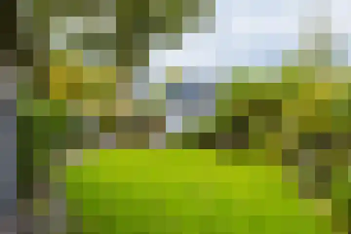Molenweg 19 Oosterwolde thumbnail 11