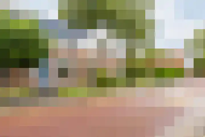 Molenweg 19 Oosterwolde thumbnail 12