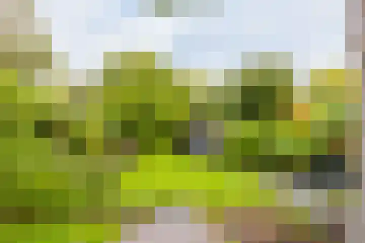 Molenweg 19 Oosterwolde thumbnail 15