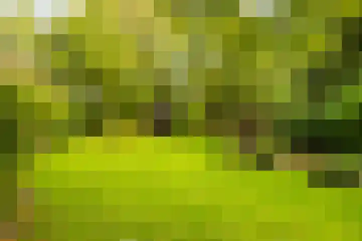 Molenweg 19 Oosterwolde thumbnail 17
