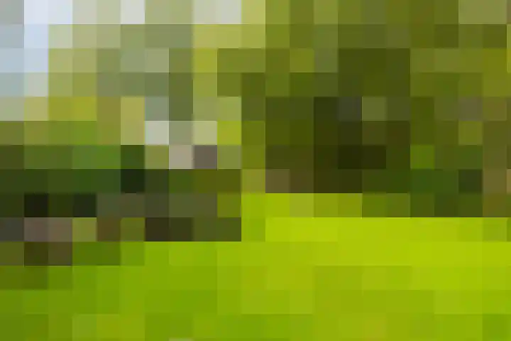 Molenweg 19 Oosterwolde thumbnail 18