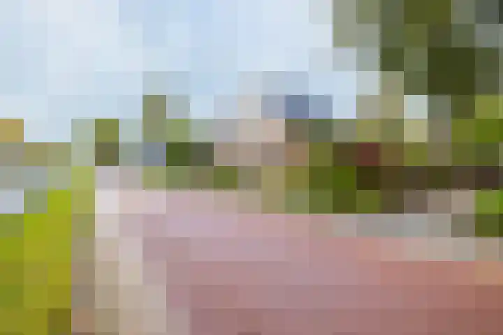 Molenweg 19 Oosterwolde thumbnail 21