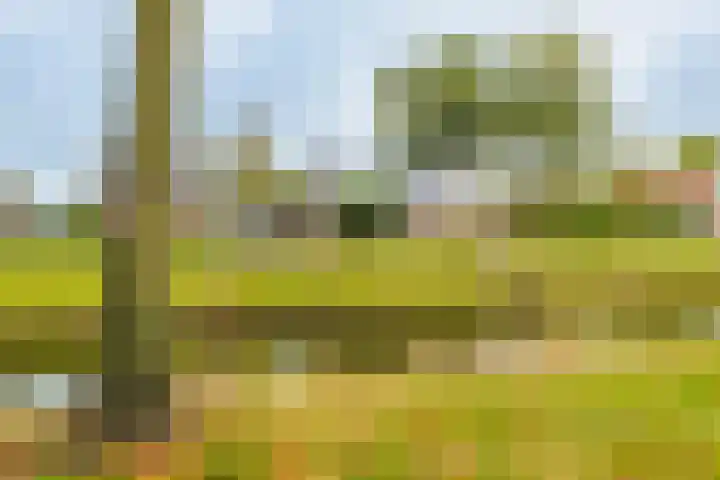 Molenweg 19 Oosterwolde thumbnail 22