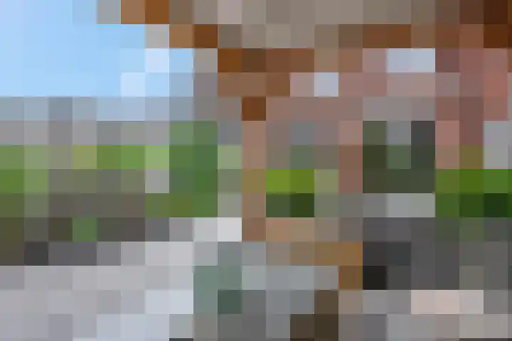 Molenweg 19 Rhenen thumbnail 28