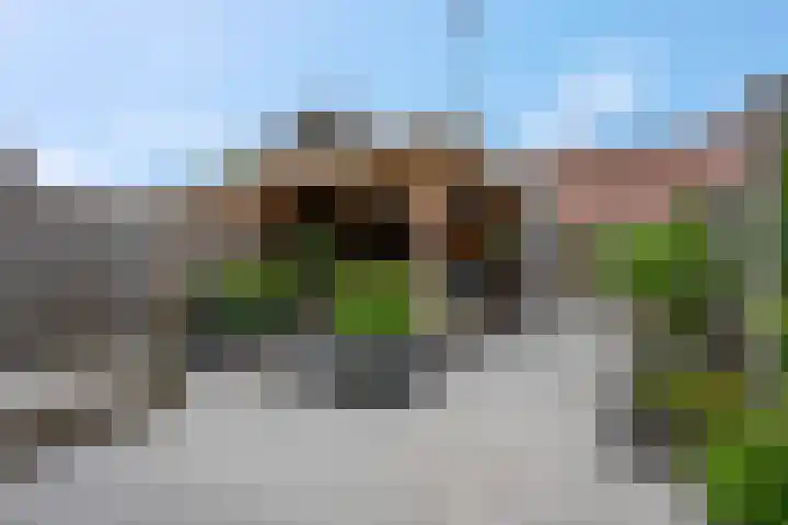 Molenweg 19 Rhenen thumbnail 29