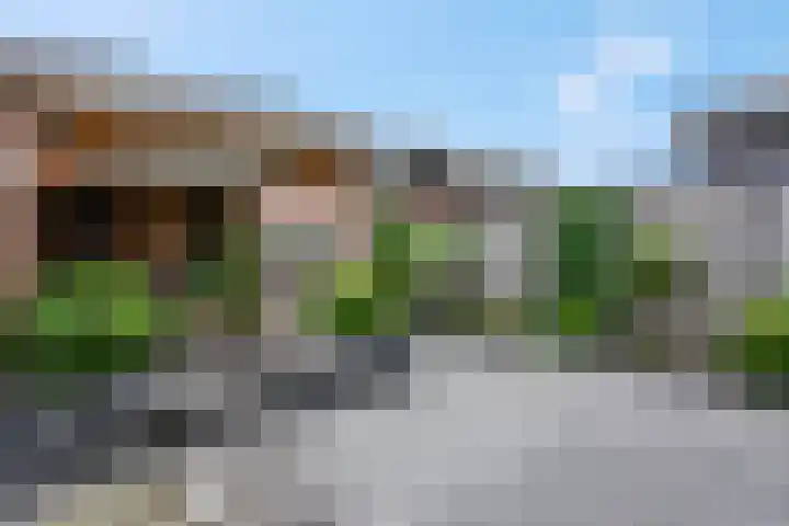 Molenweg 19 Rhenen thumbnail 30