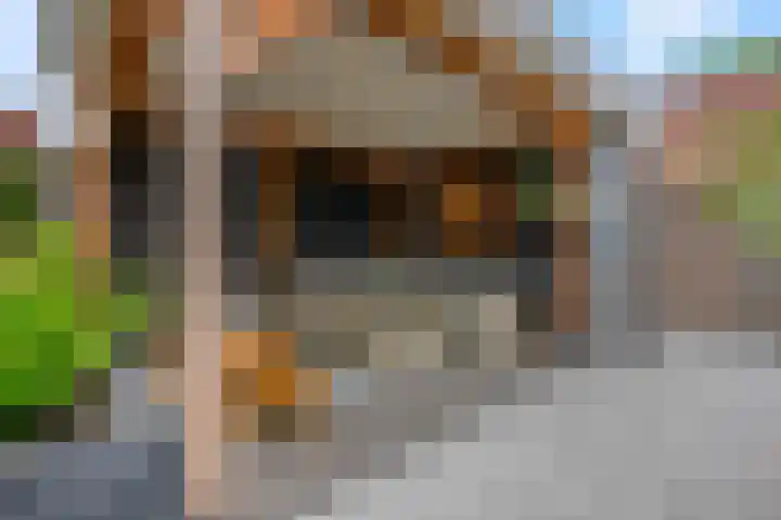 Molenweg 19 Rhenen thumbnail 31
