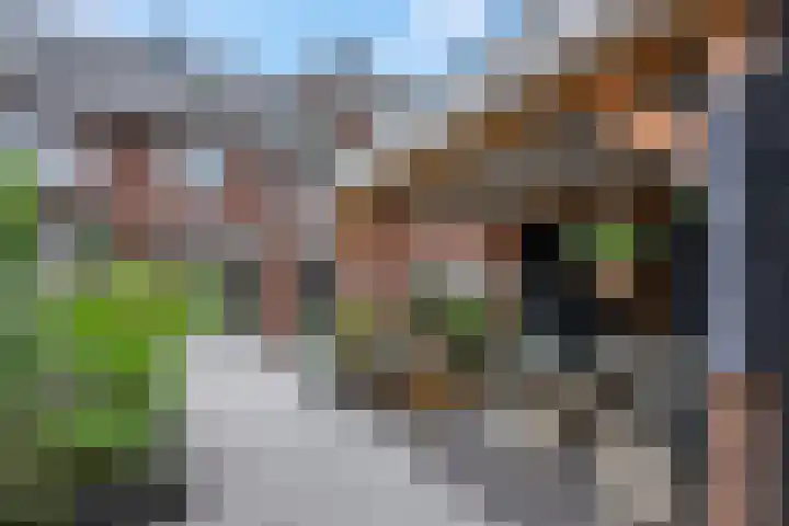 Molenweg 19 Rhenen thumbnail 4