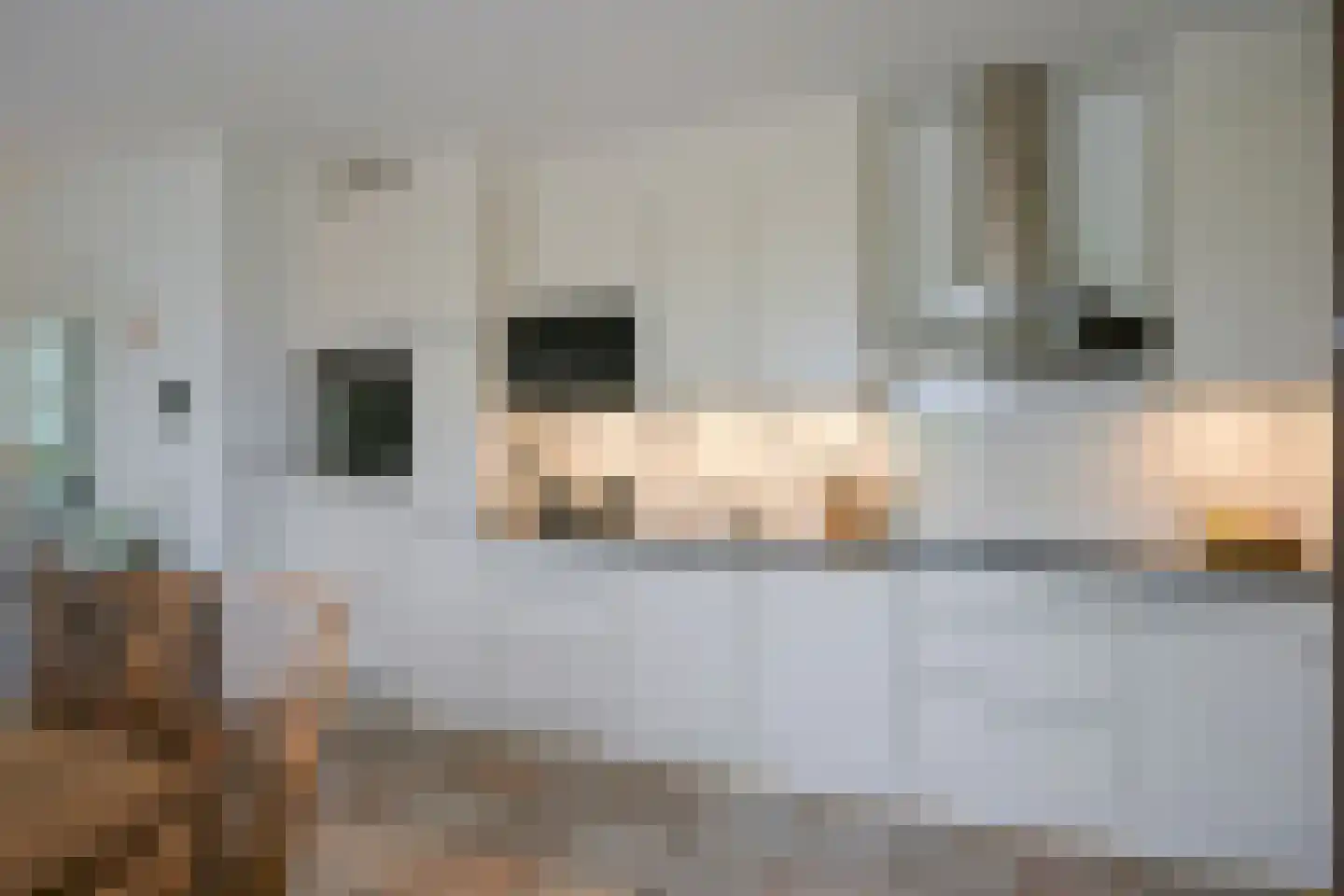 Molenweg 19 Sittard thumbnail 17