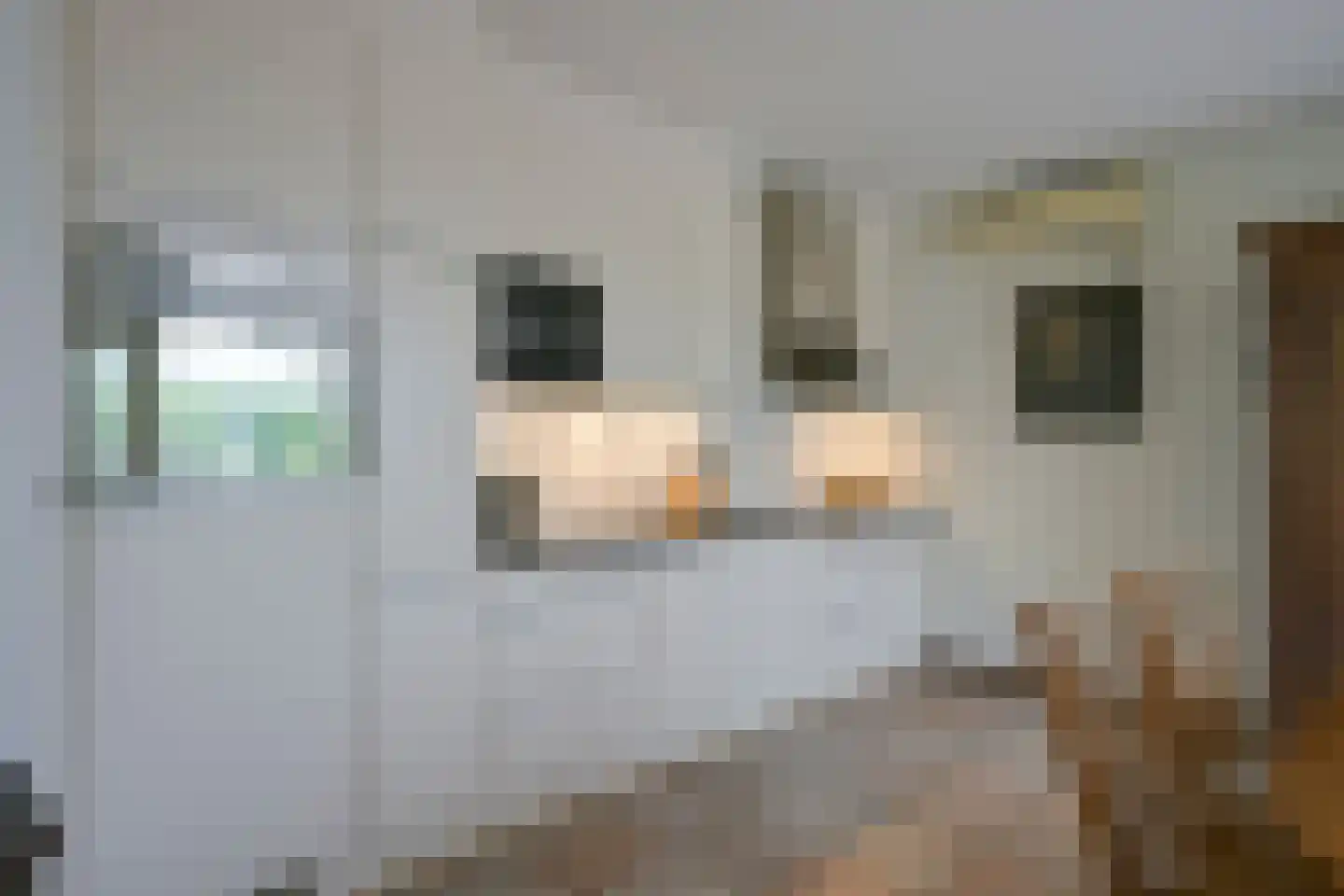 Molenweg 19 Sittard thumbnail 18