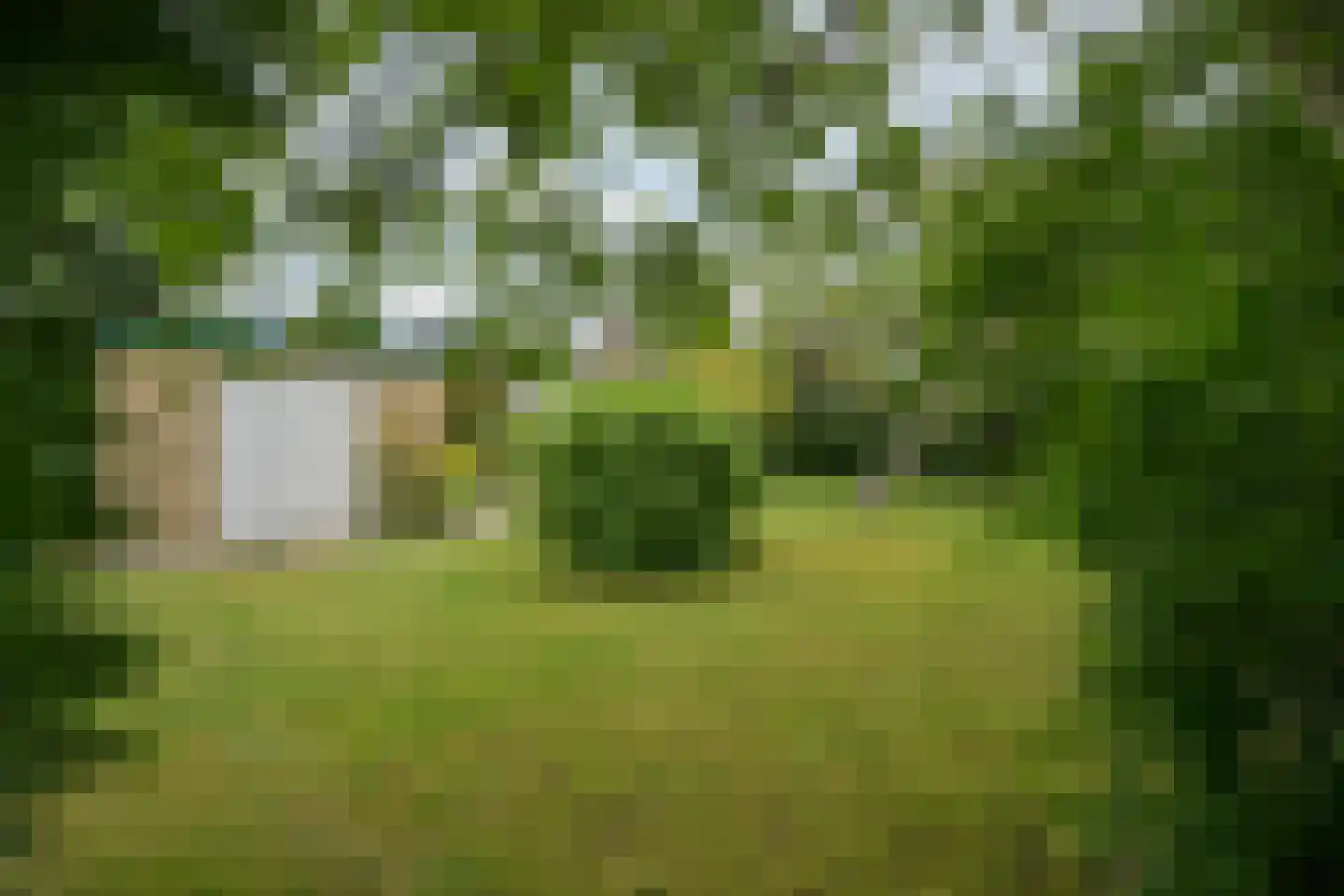 Molenweg 19 Sittard thumbnail 44