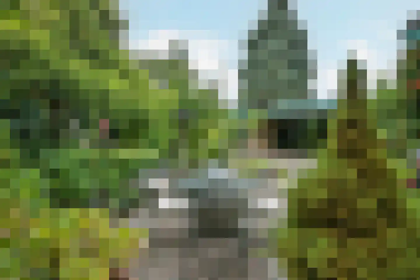 Molenweg 19 Sittard thumbnail 45