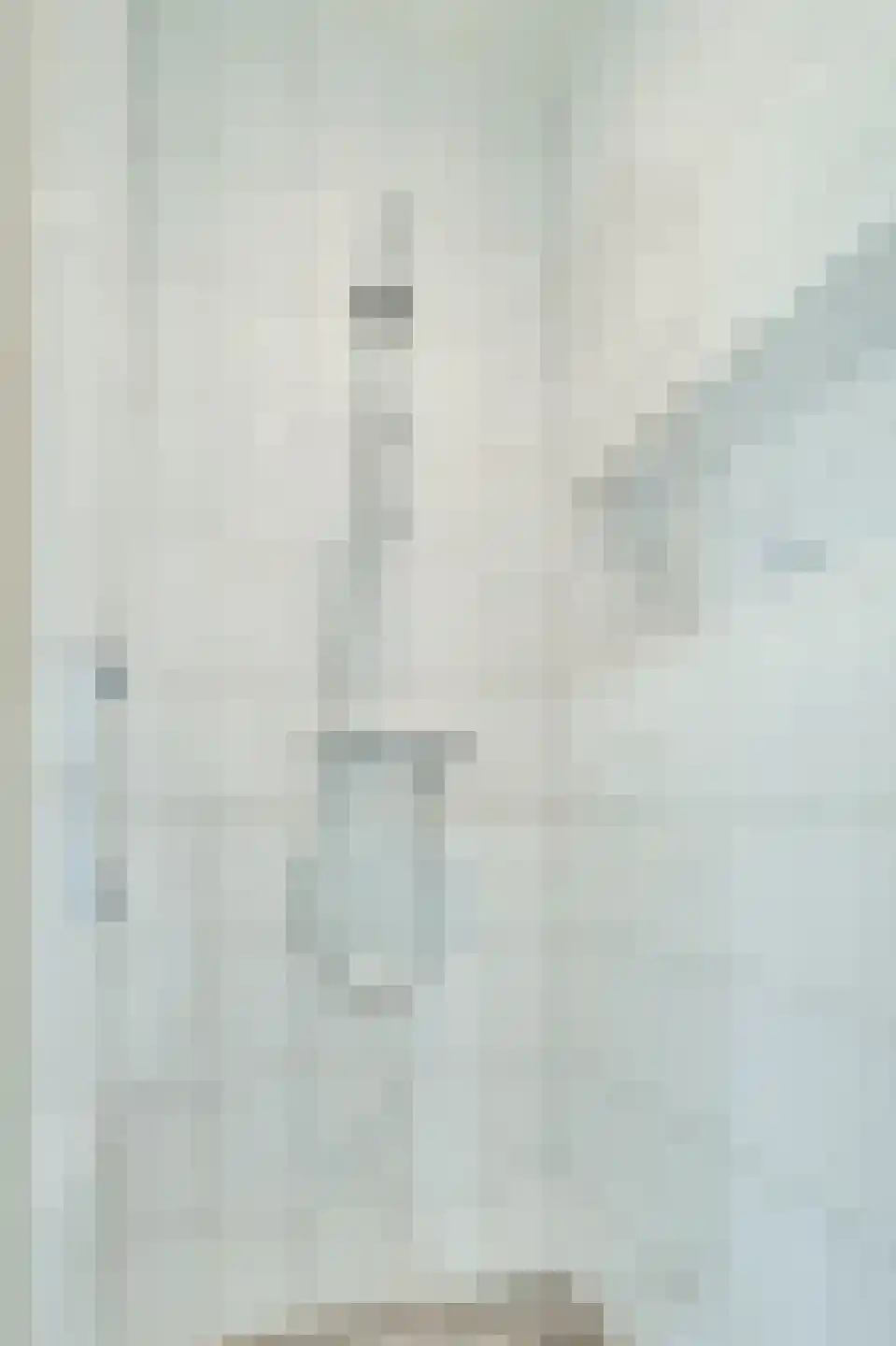 Molenweg 195 Zwolle thumbnail 35