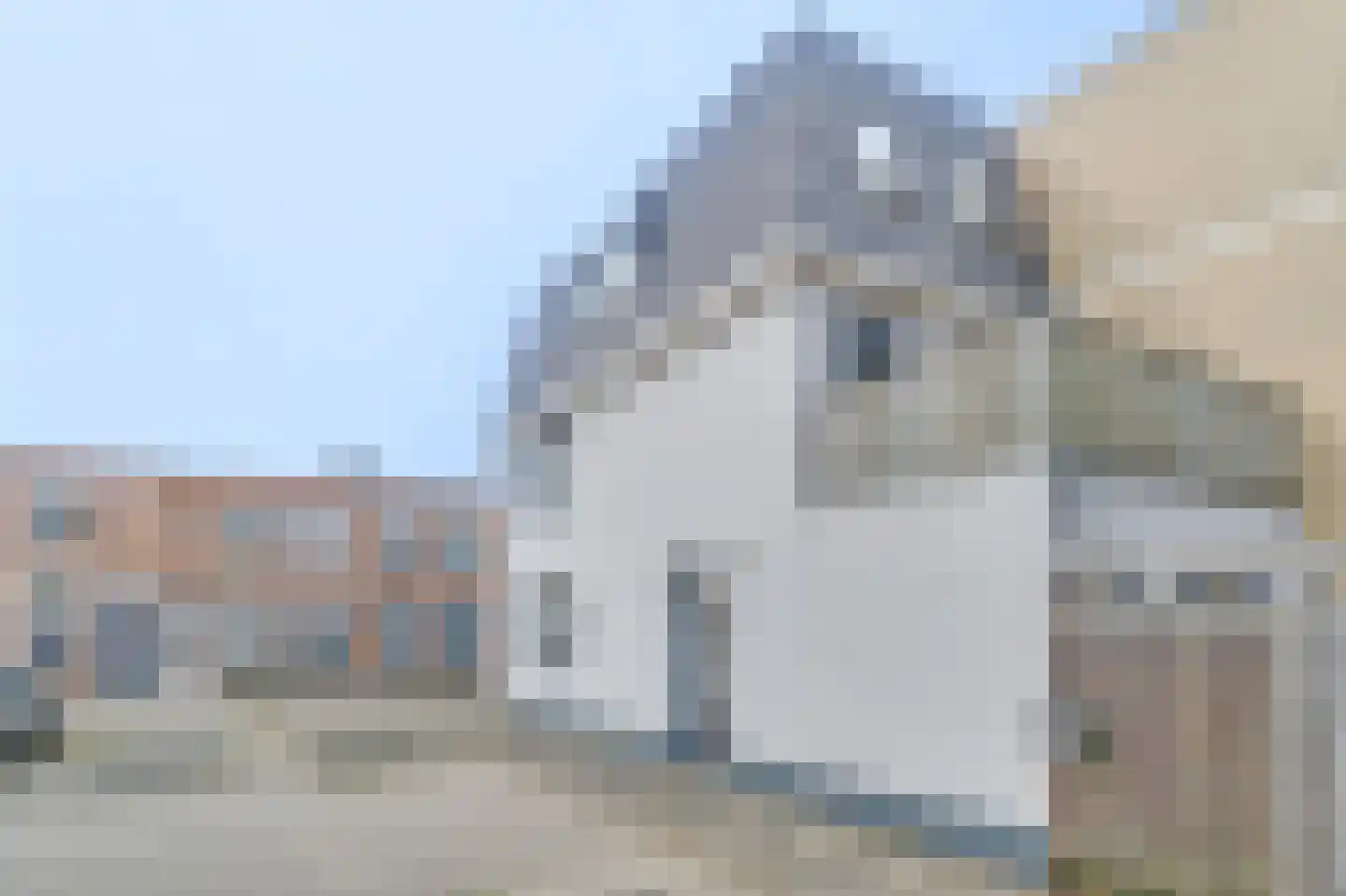 Molenweg 195 Zwolle thumbnail 4