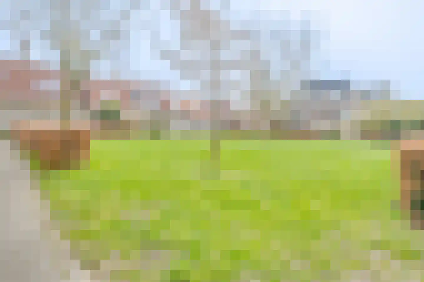 Molenweg 195 Zwolle thumbnail 41