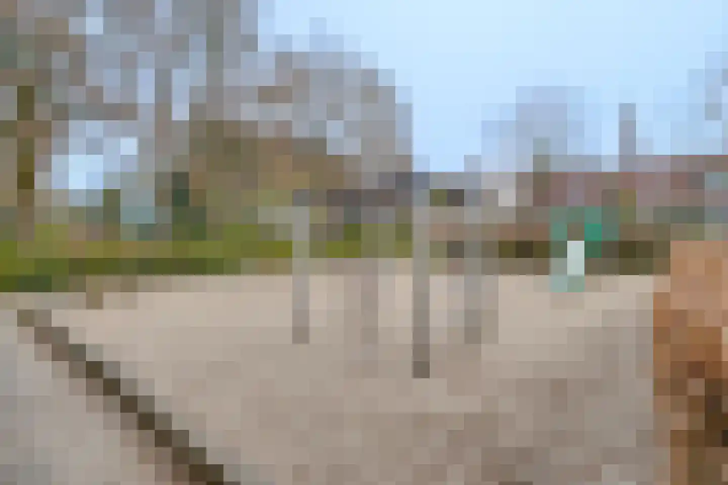 Molenweg 195 Zwolle thumbnail 47