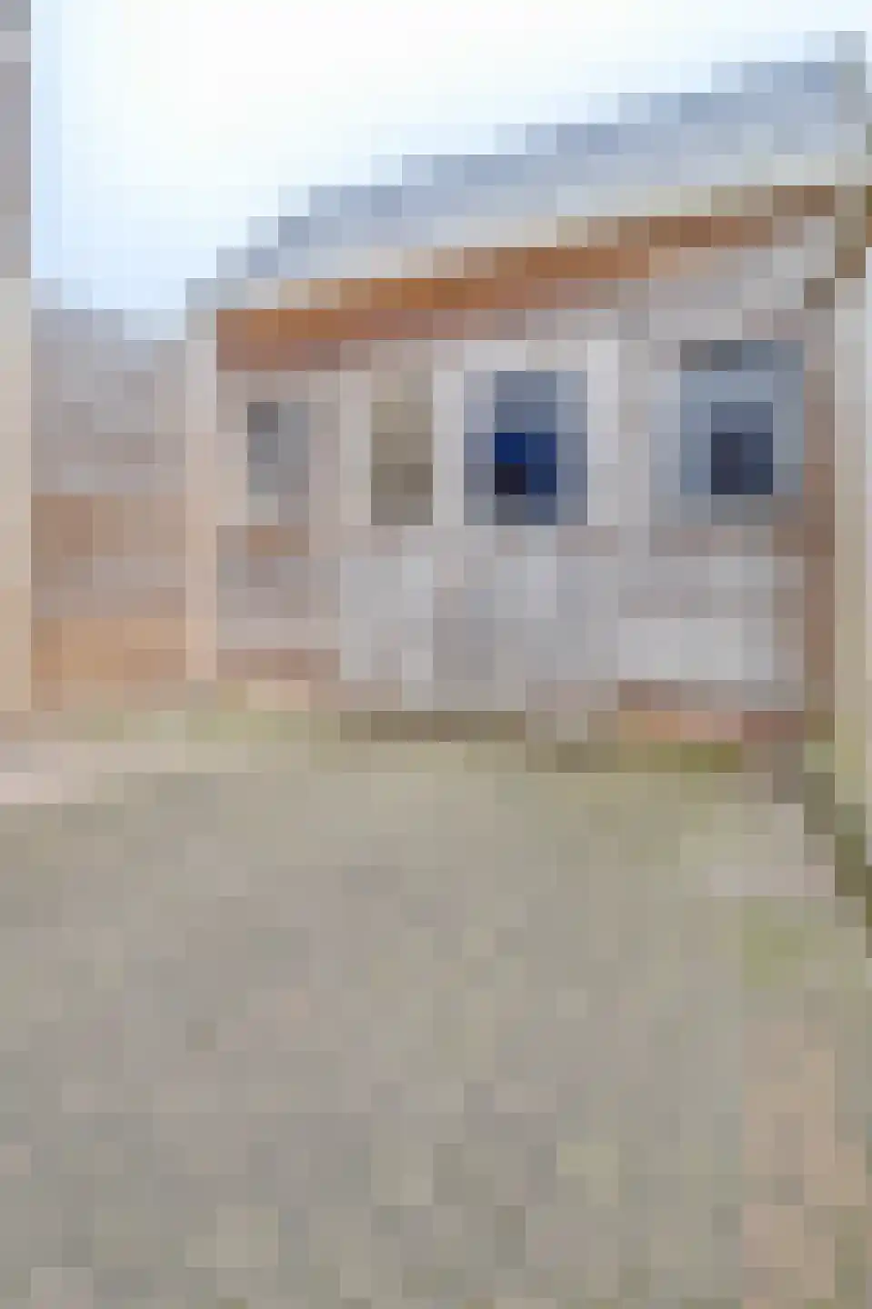 Molenweg 195 Zwolle thumbnail 7