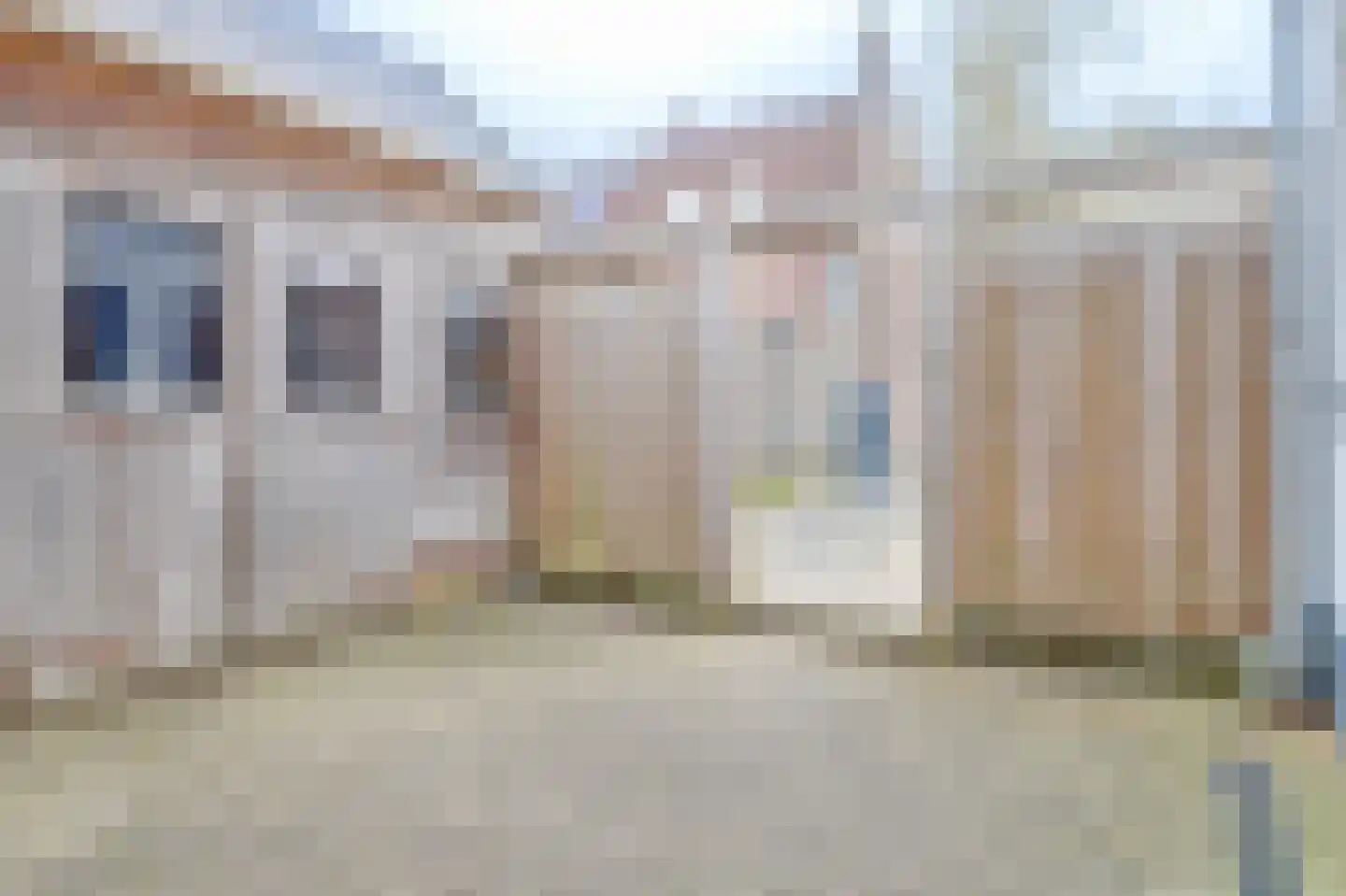 Molenweg 195 Zwolle thumbnail 8