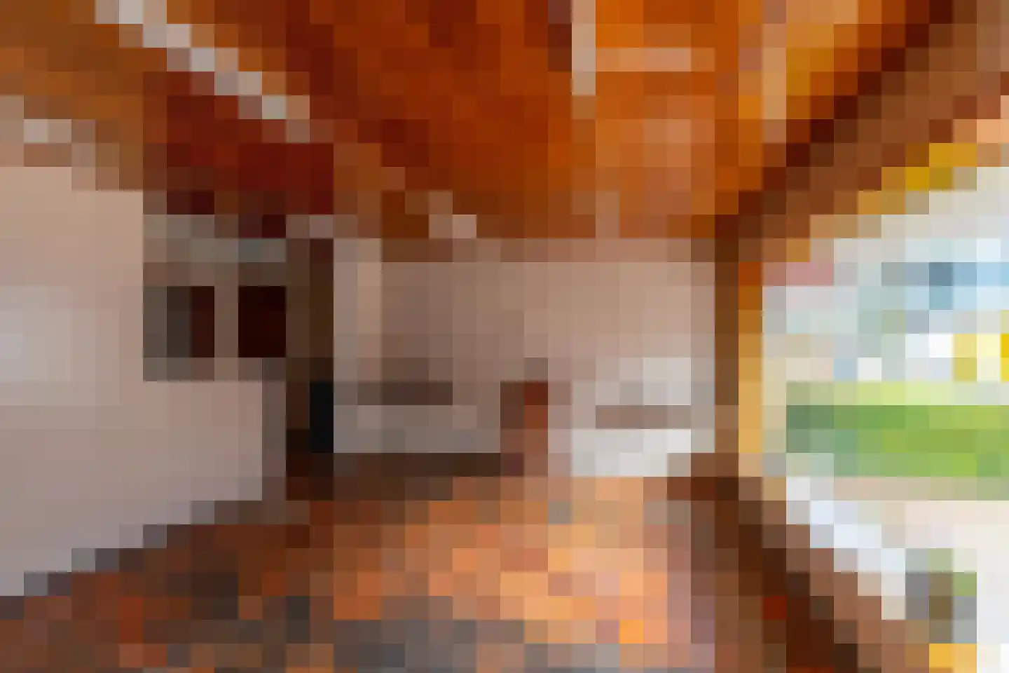 Molenweg 2 b Haren Gn thumbnail 4